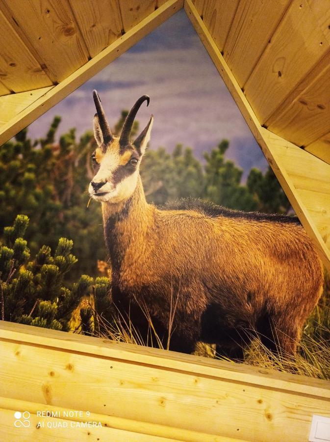 Noclegi U Gabrysi Koscielisko Bagian luar foto
